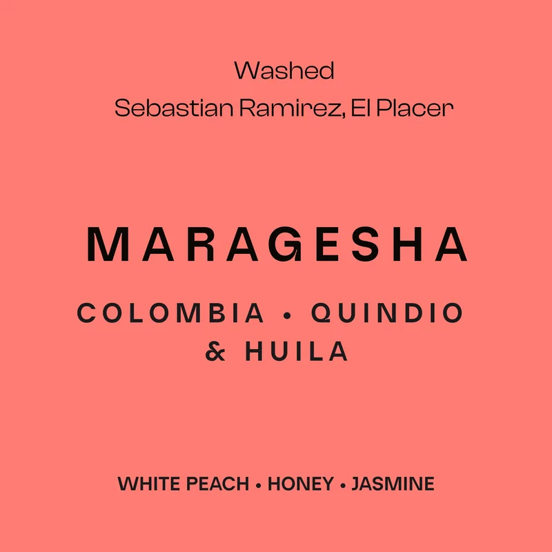 maragesha coffee by sustain coffee co