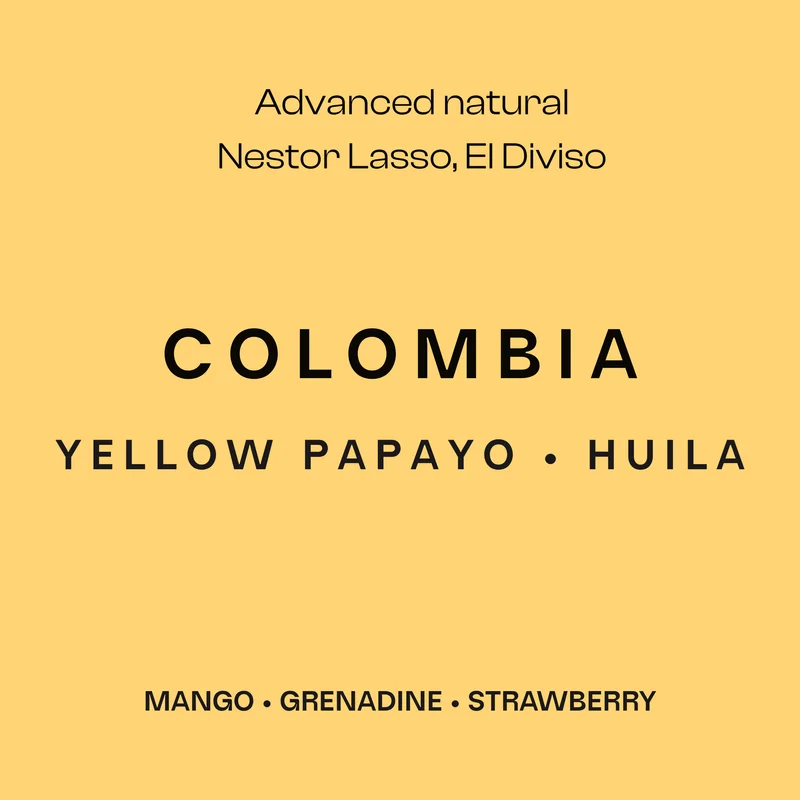 yellow papayo - colombia coffee by sustain coffee co