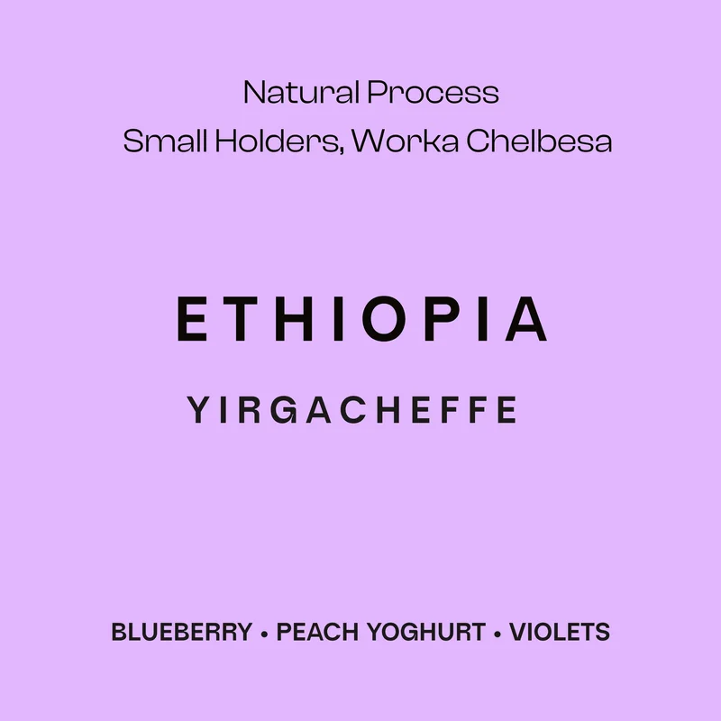 ethiopia - ethiopia coffee by sustain coffee co