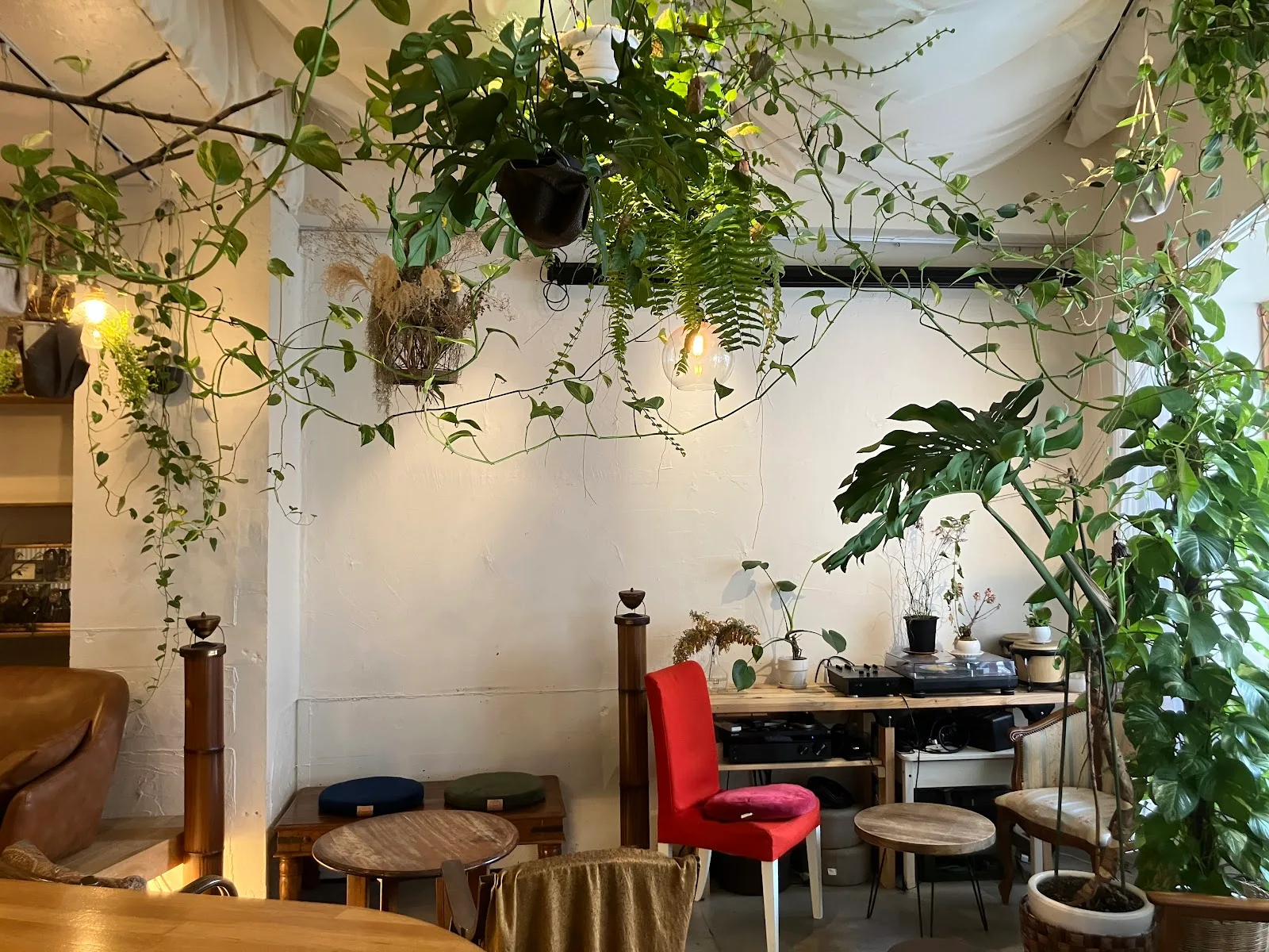 22 CAFÉ / BAR / Art Place 永福町|ミュージックバー カフェ|イベント ディナー