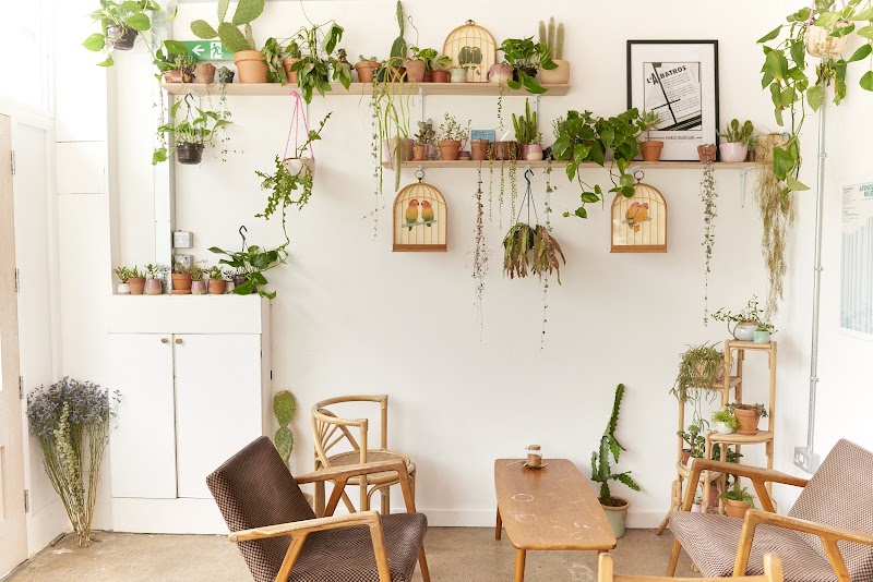 Albatross Café in Bristol, specialty coffee cafe