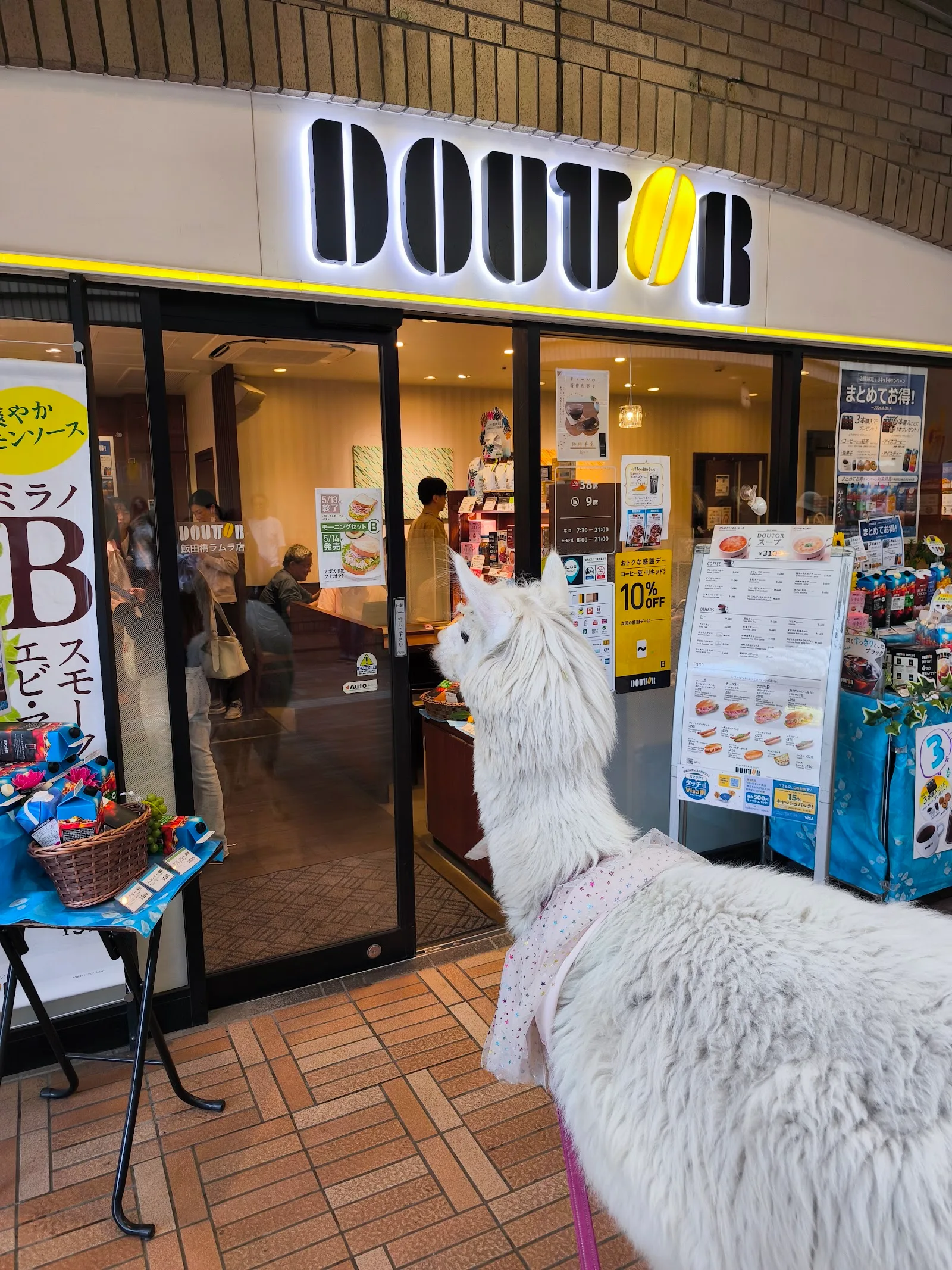 アルパカふれあいランド(Alpaca fureai land) in Tokyo, specialty coffee cafe