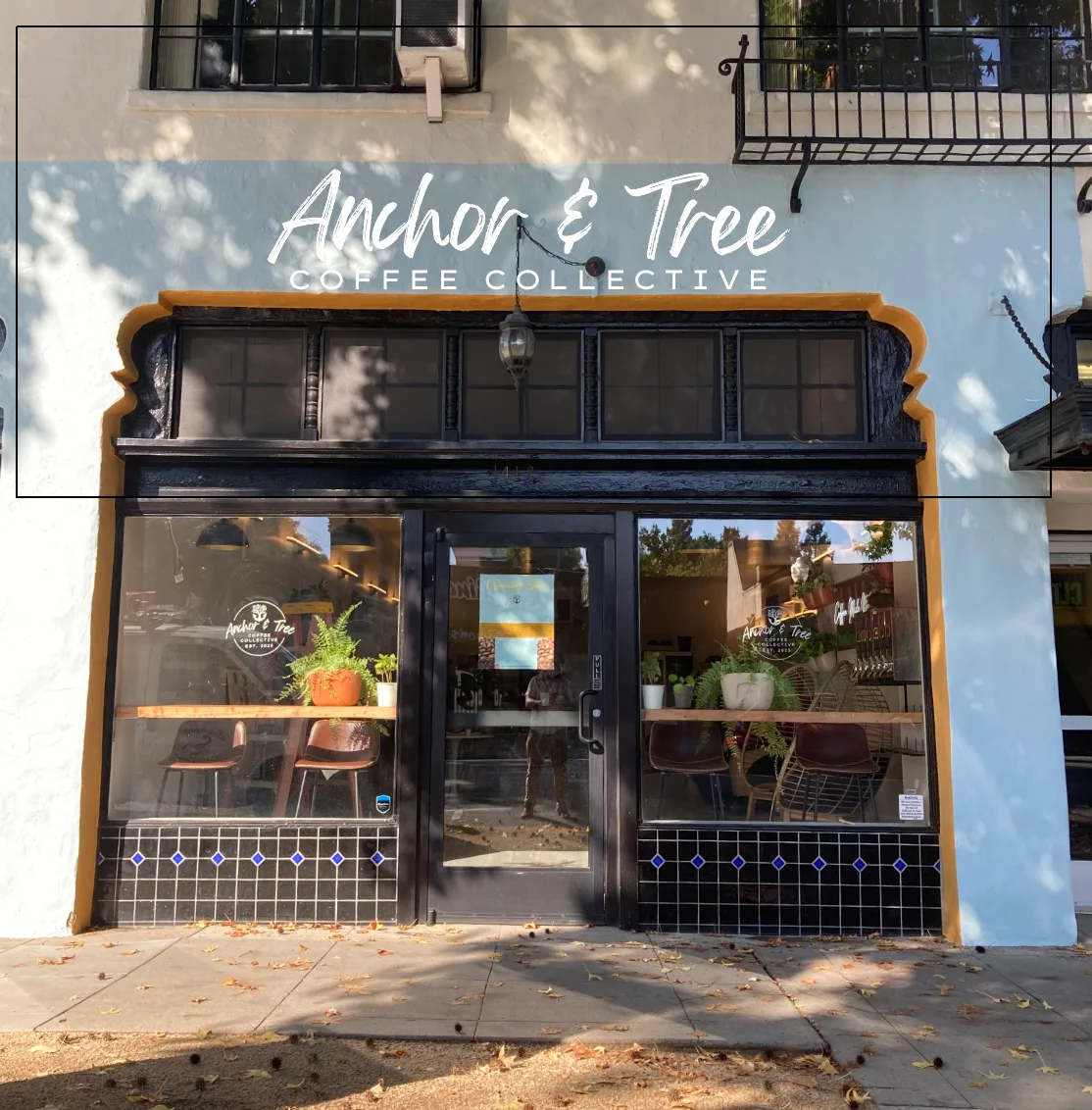 Anchor and Tree Coffee Roasting in Sacramento — specialty coffee roaster