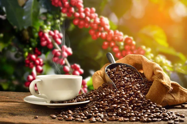 Apffels Fine Coffees