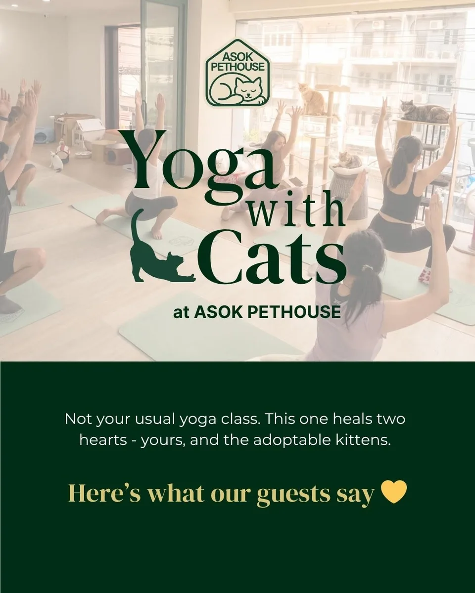 ASOK PETHOUSE CAT CAFE in Bangkok — specialty coffee cafe