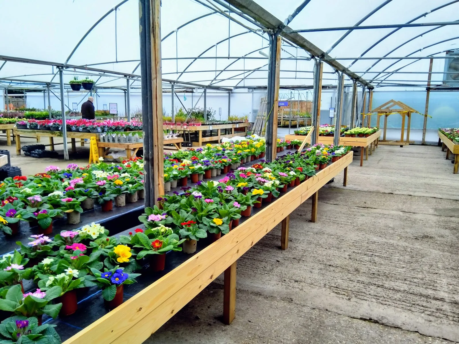 Baskets and Blooms Plant Centre and Blooms Cafe