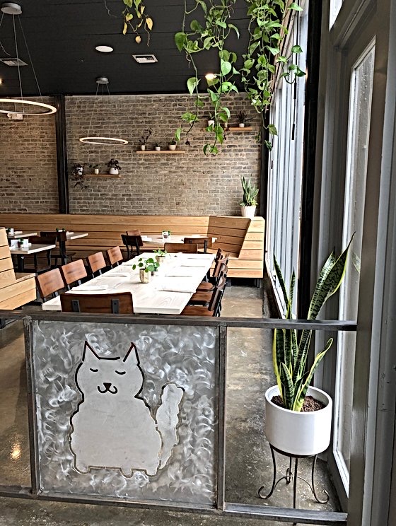 BEARCAT CBD in New Orleans, specialty coffee cafe