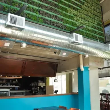 modern café interior with living green wall and blue service counter., beerline cafe, milwaukee