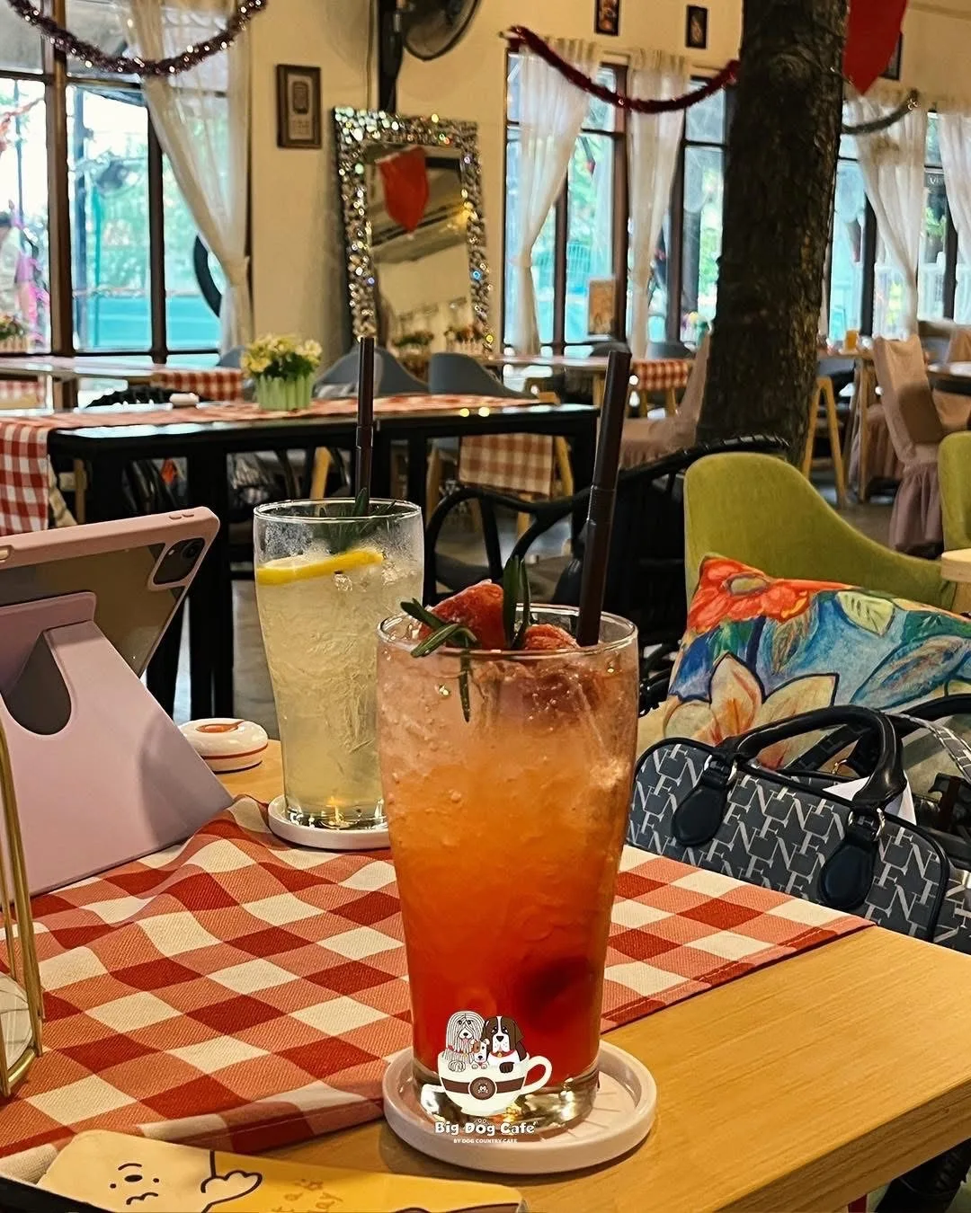 big dog café, dog cafe in bangkok