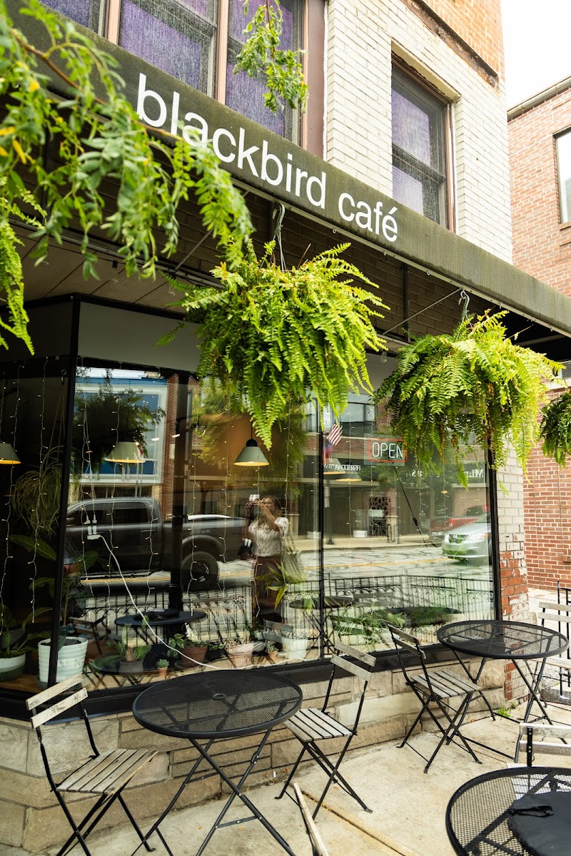 Blackbird Cafe in Valparaiso — specialty coffee cafe