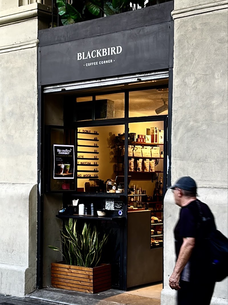 Blackbird Coffee Corner - Sagrada Familia in Barcelona — specialty coffee cafe