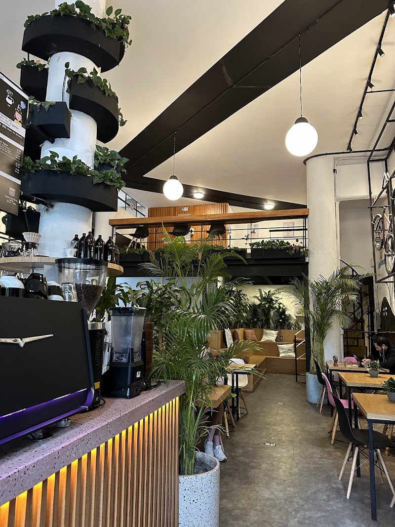 Blend Station in Mexico City — specialty coffee cafe