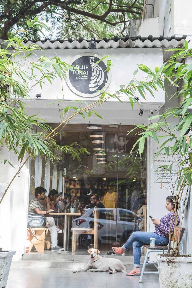 Blue Tokai Coffee Roasters | Bandra in Mumbai — specialty coffee roaster