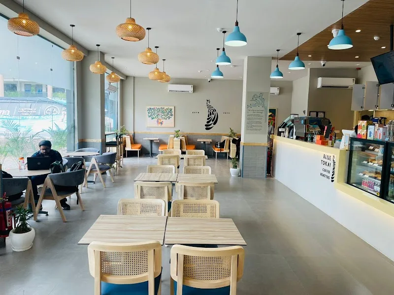 modern café interior with natural wood chairs, pendant lighting, and counter service area., blue tokai coffee roasters | zira