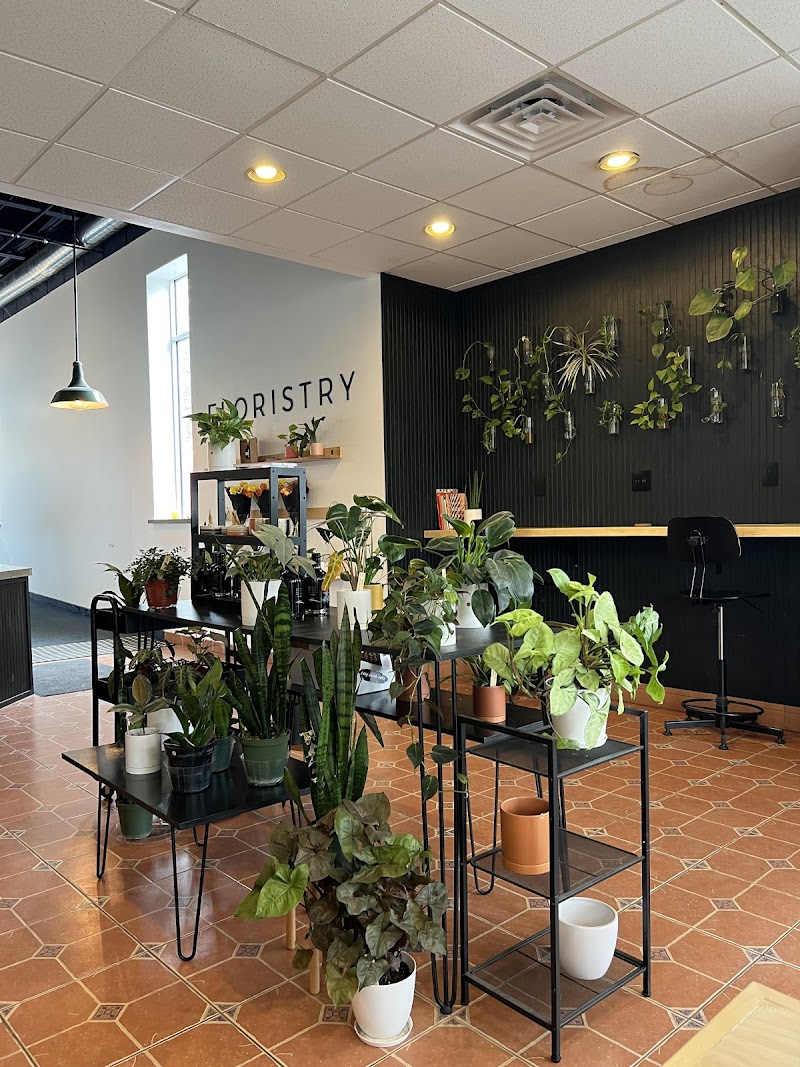 Botanist Coffeehouse in Ithaca — specialty coffee cafe