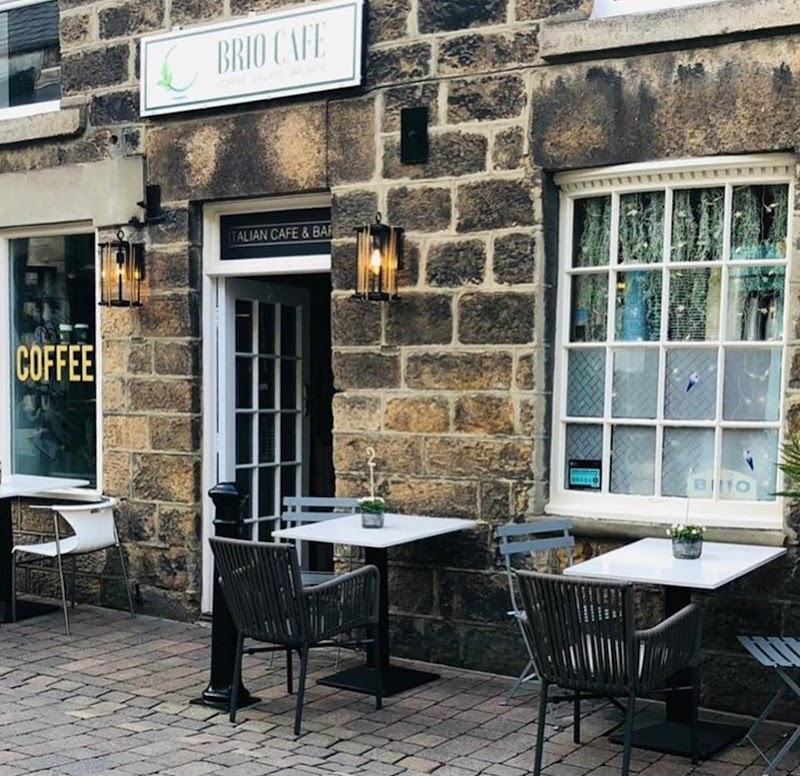 Brio Cafe in Harrogate — specialty coffee cafe