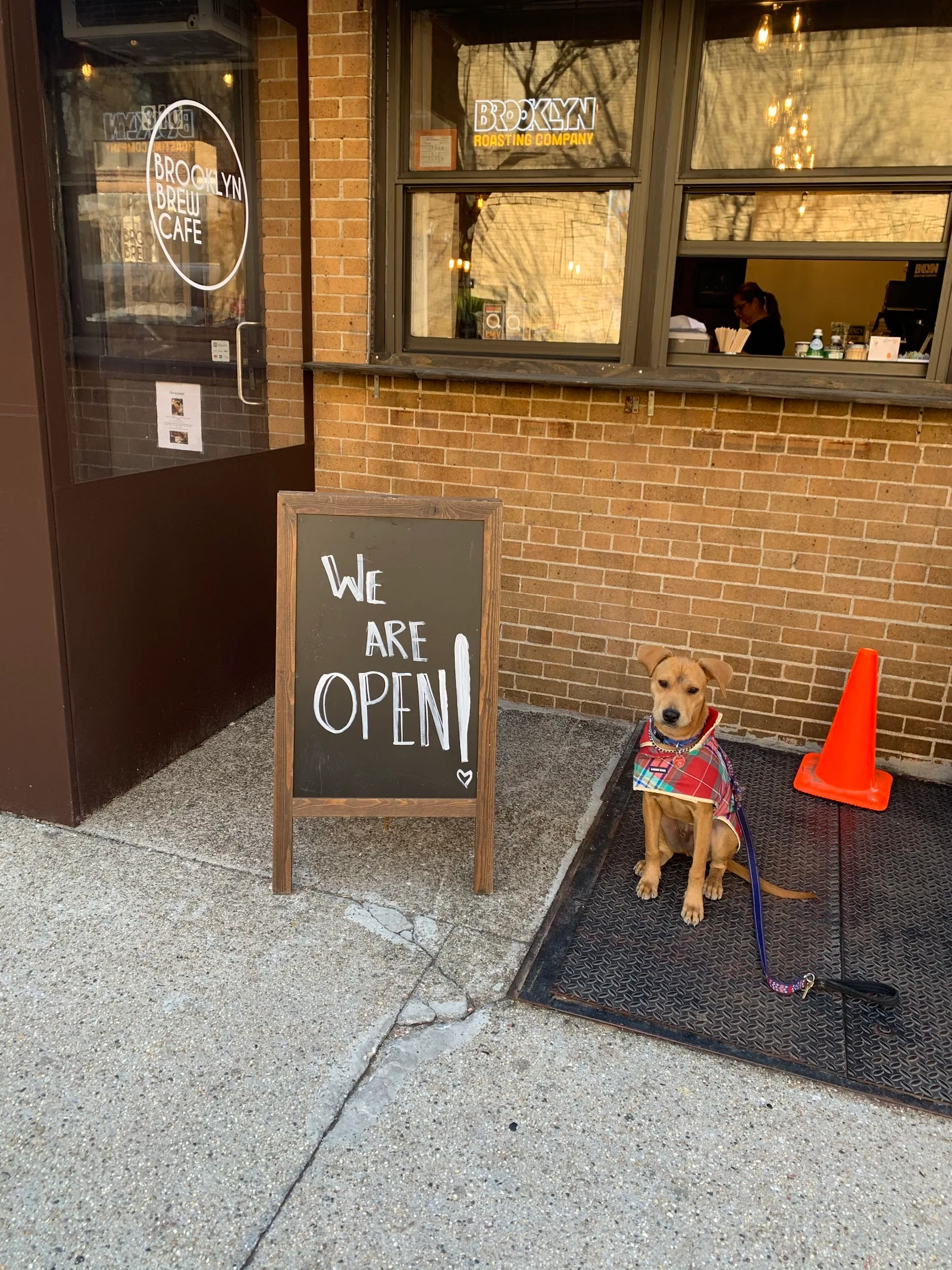 Brooklyn Brew Cafe in New York City, specialty coffee cafe