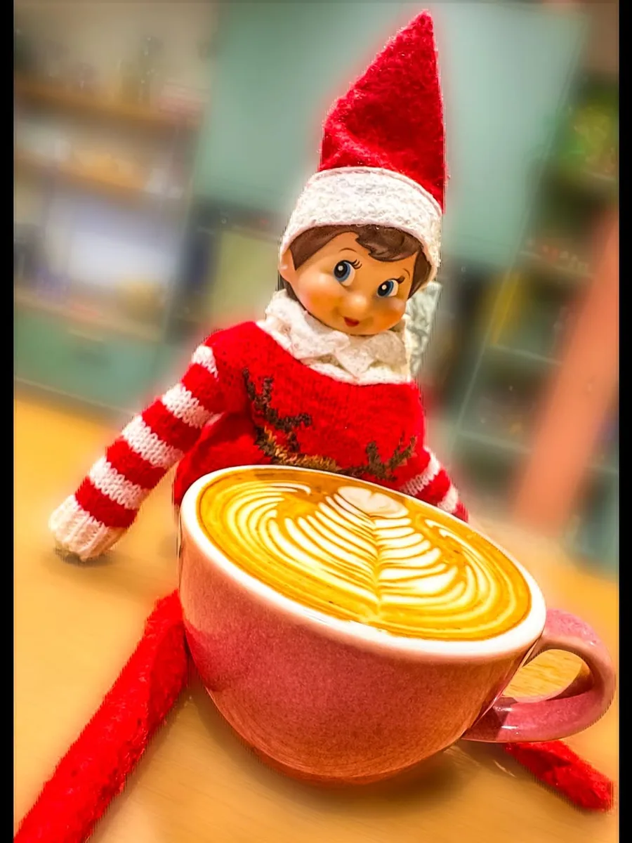 Bubblehead Barista in Portsmouth — specialty coffee roaster