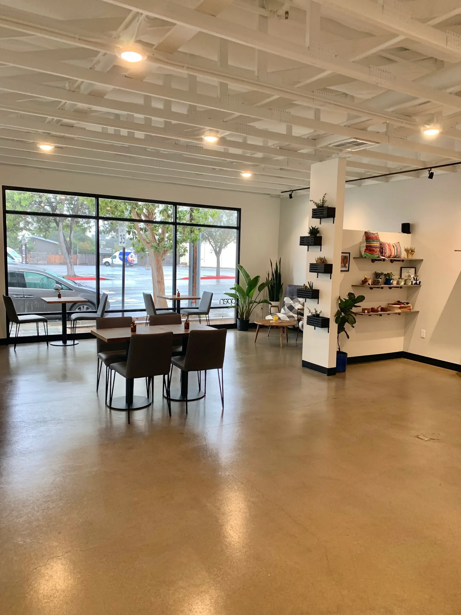 Cacti Coffee Roasters