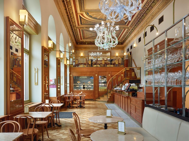 Café Savoy in Prague, specialty coffee cafe