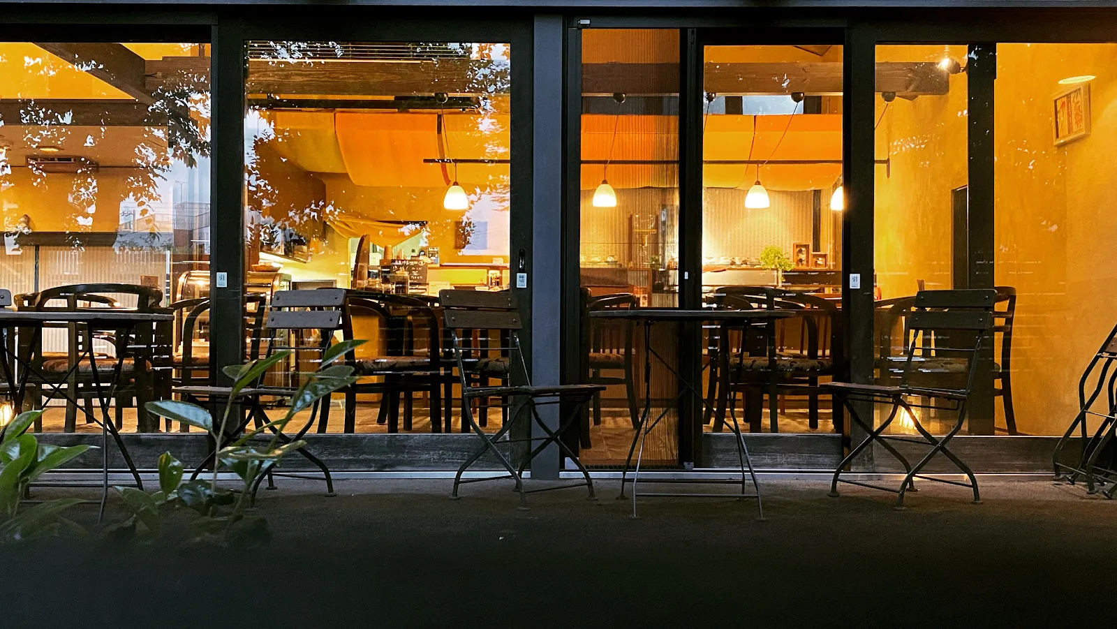 Cafe Accordiana
