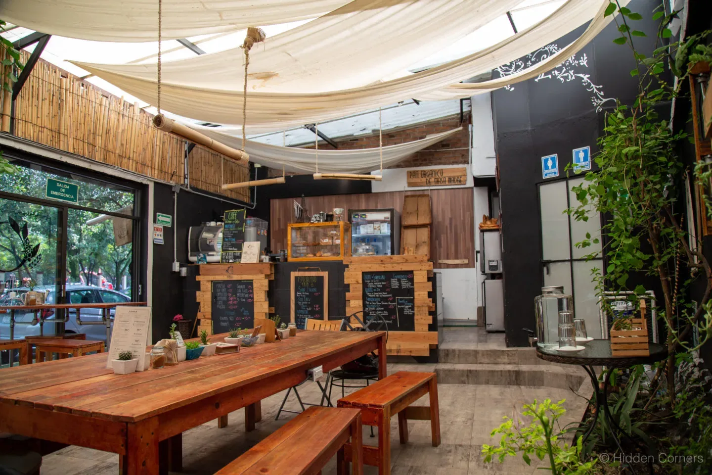 rustic wooden café interior with sheer canopy ceiling and climbing vines., café almonte, coyoacán, mexico city