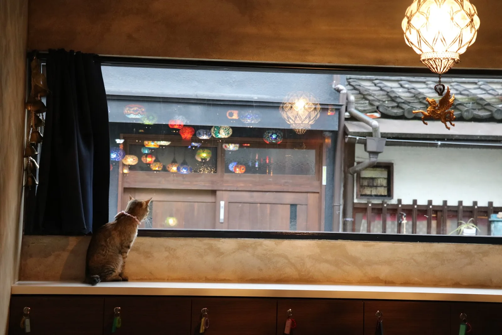 Cafe for people who love cats Protective cats Cafe Uriel in Osaka, specialty coffee cafe