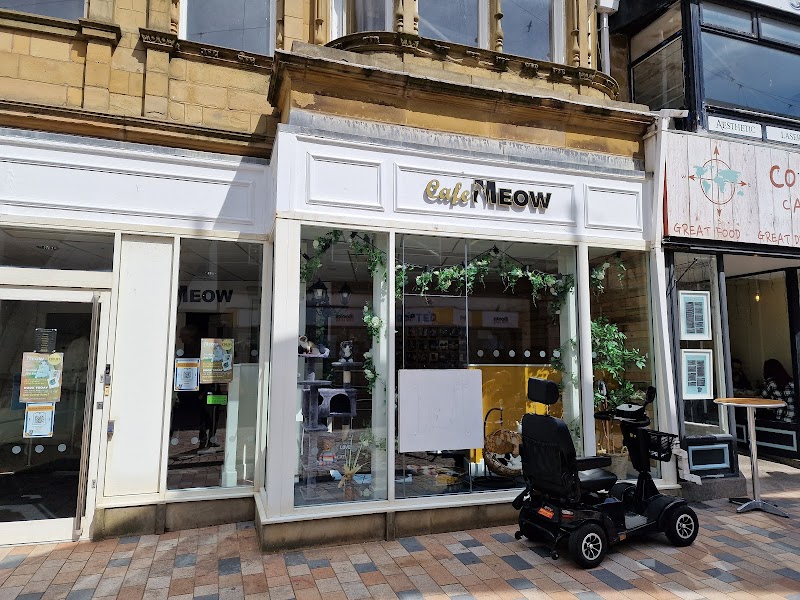 Cafe Meow in Blackpool — specialty coffee cafe