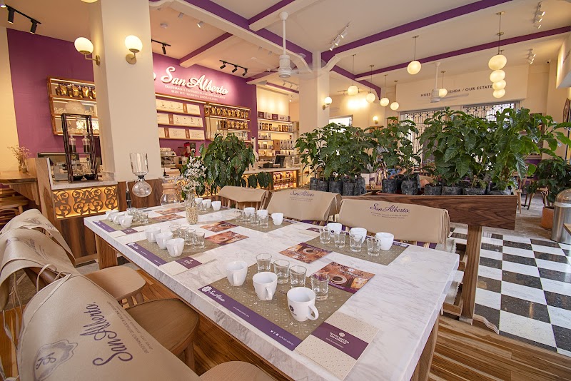 Café San Alberto Cartagena - Plaza Santo Domingo
