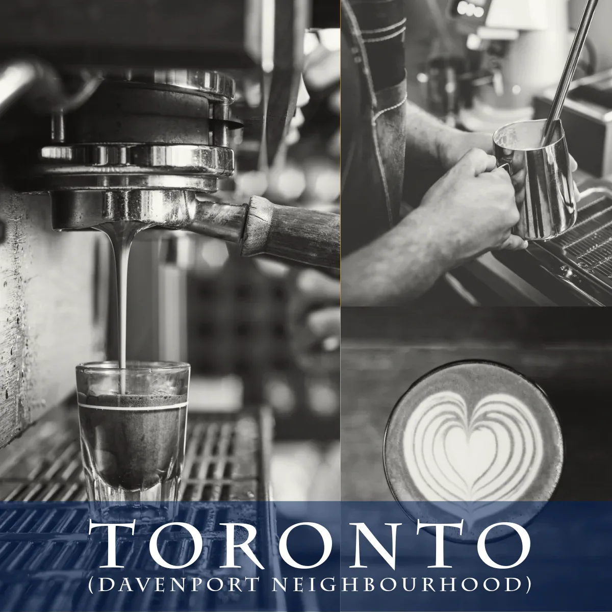 Canadian Barista Institute - Toronto Lab (Davenport Neighbourhood)