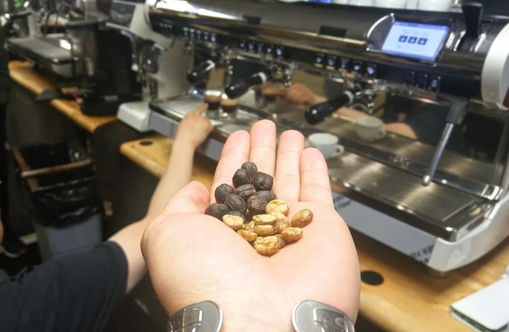 hand holding roasted coffee beans in espresso machine laboratory setting., canadian barista institute - vancouver lab, burnab