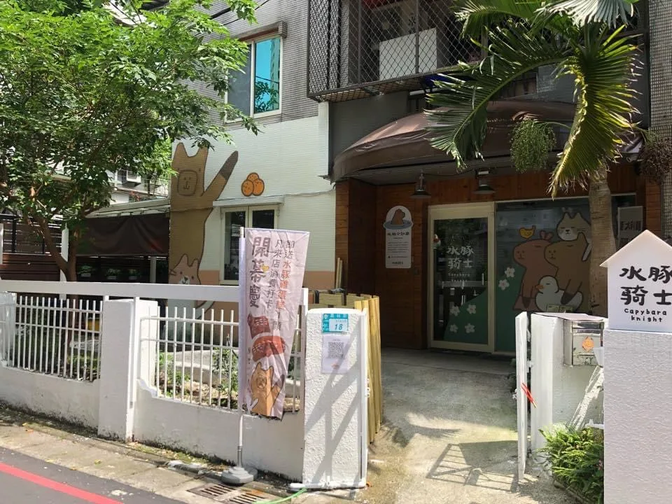 capybara knight, capybara cafe in new taipei