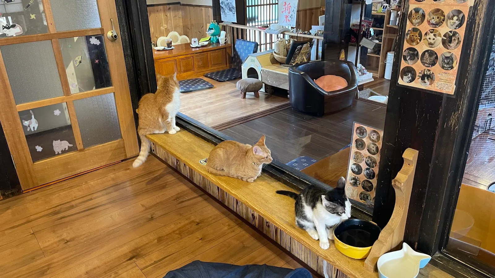Cat Cafe Kutsurogi Kominka Mameneko