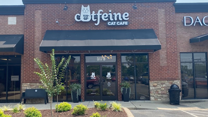 Catfeine Cat Cafe in Murfreesboro — specialty coffee cafe