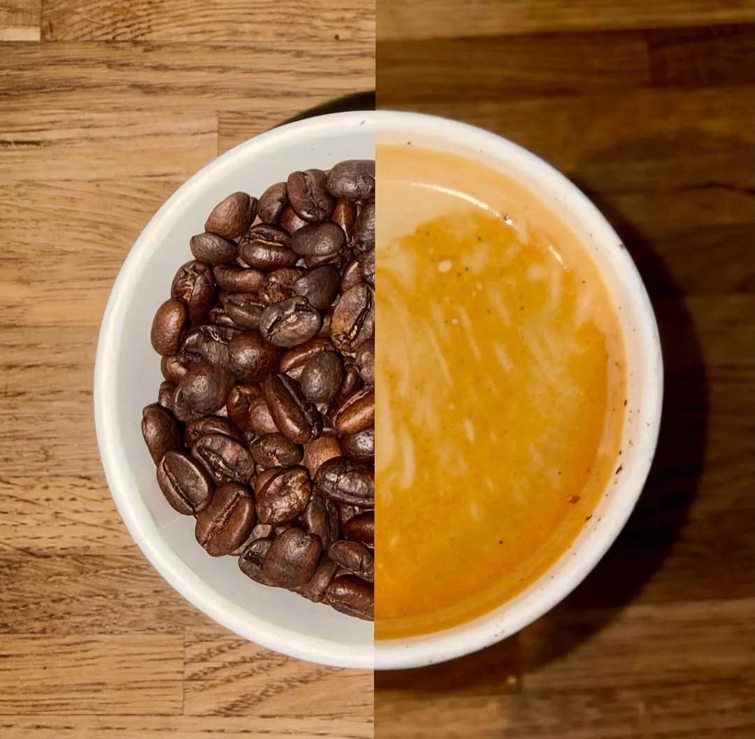 Cloud Gate Coffee in Bradford — specialty coffee roaster
