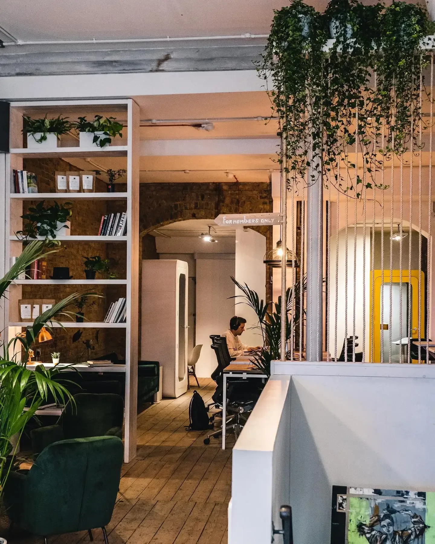 modern office space with plants, shelving, and person working at desk., cobalance, london