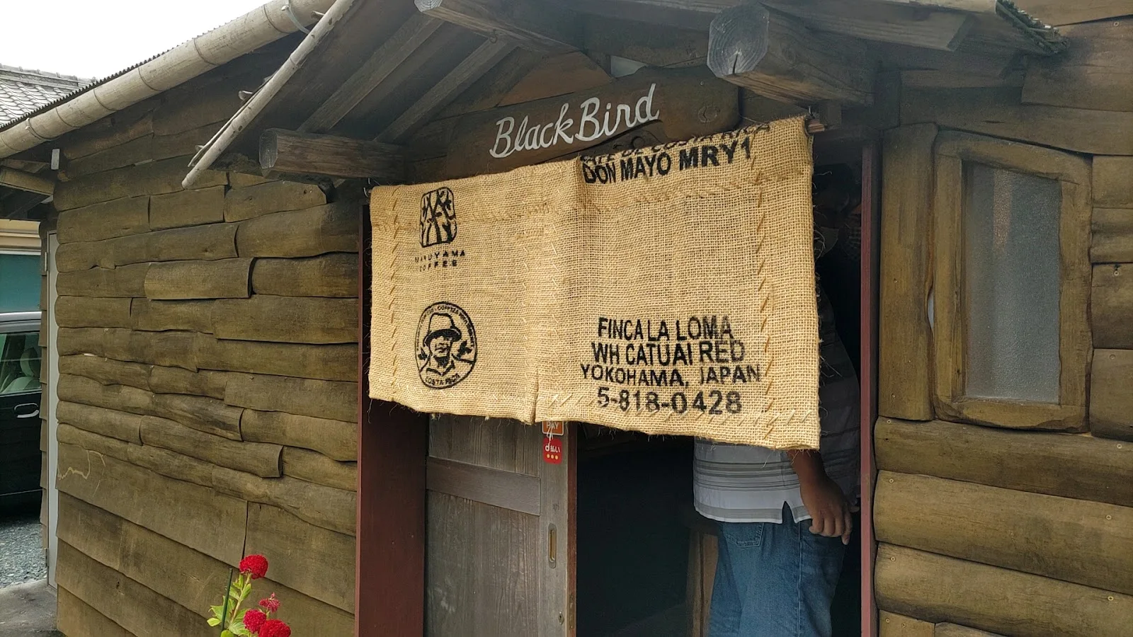 Coffee BlackBird, Hamamatsu