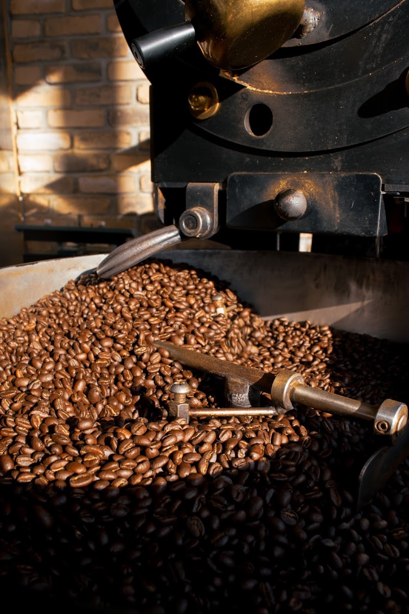 Coffee Tree Roastery in Toronto — specialty coffee roaster