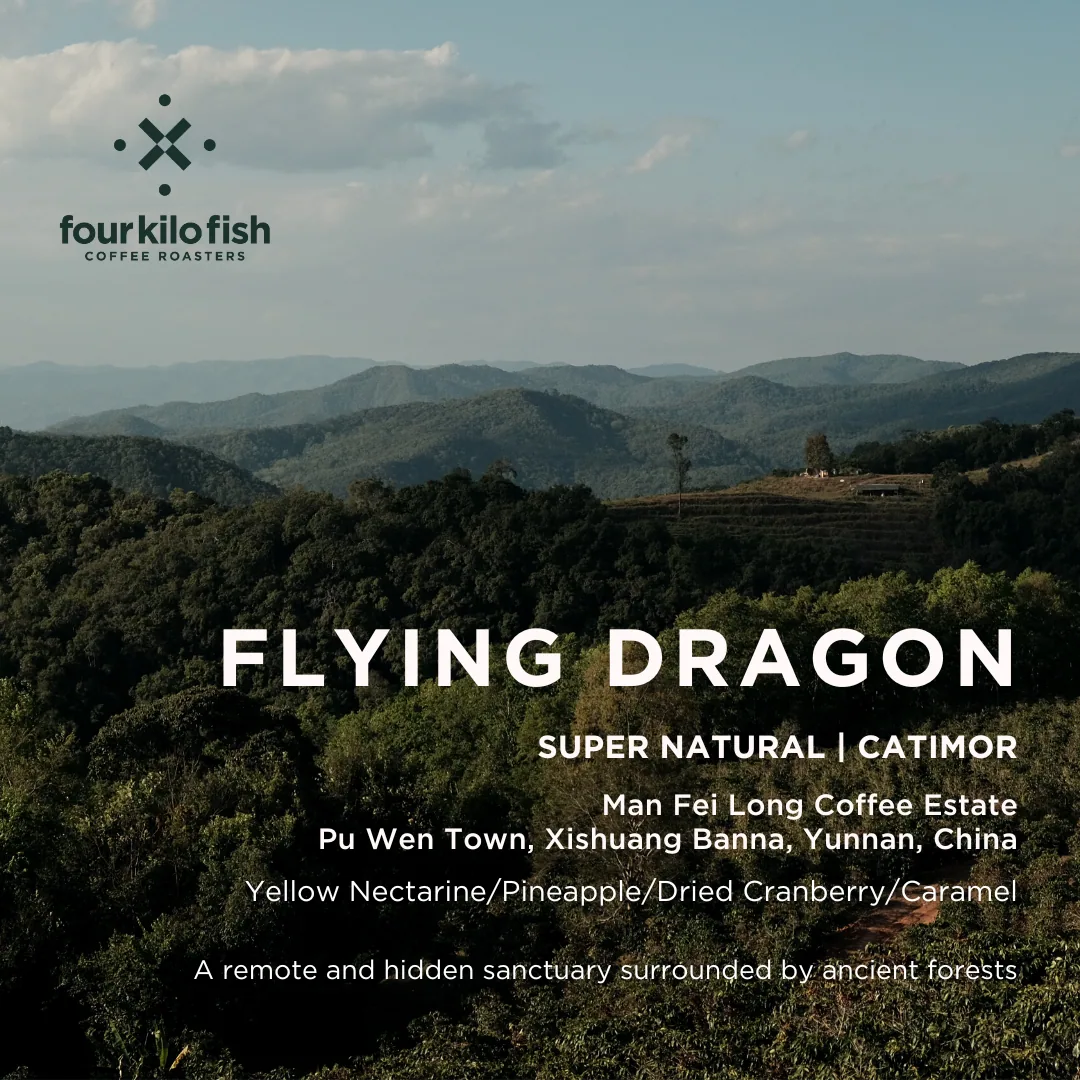 flying dragon | super natural catimor | xishuang banna, yunnan, china |filter 200g - yunnan coffee by four kilo fish coffee & tea