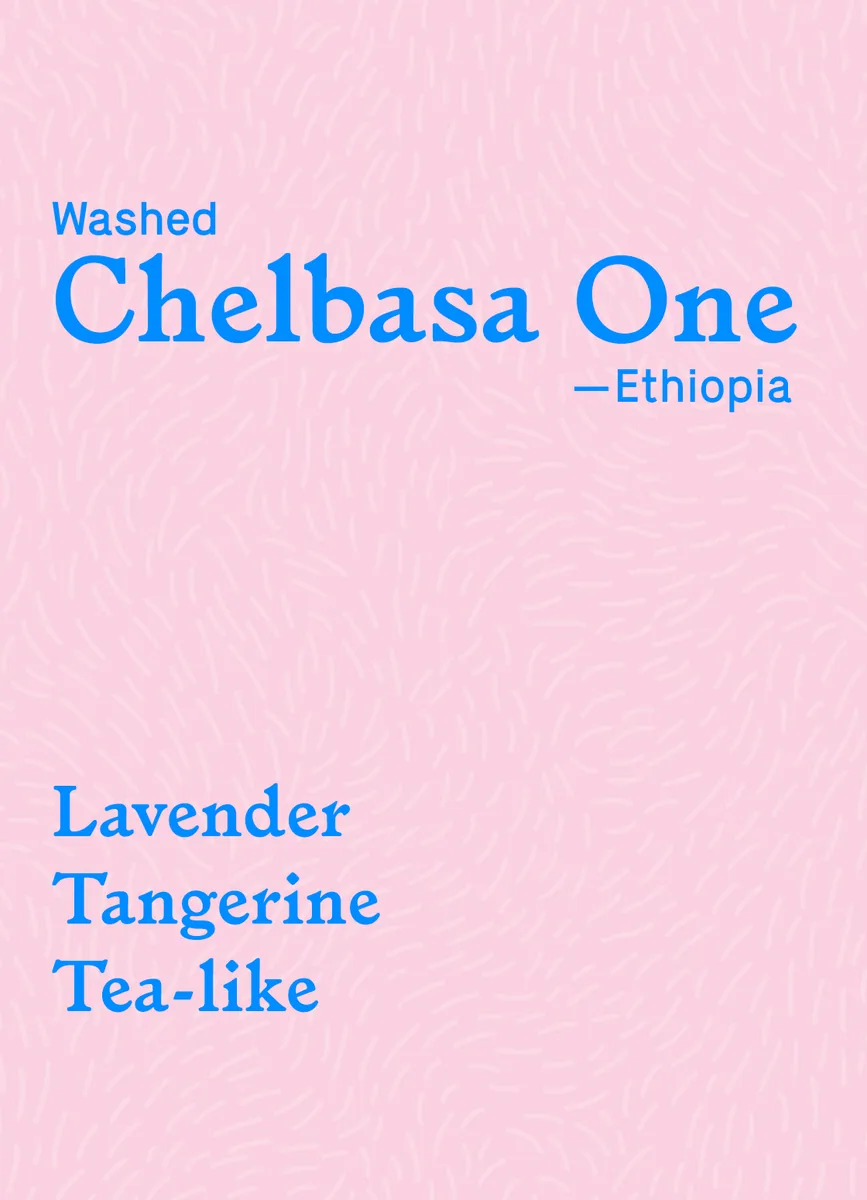 chelbasa one coffee by little wolf coffee