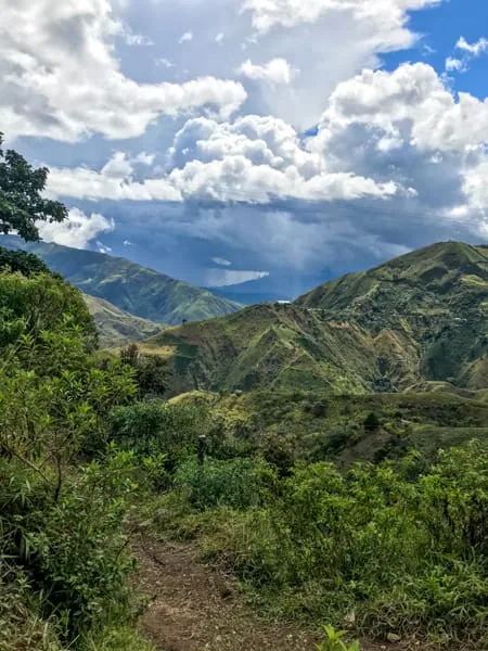 aponte village honey - single origin - colombia coffee by anchor coffee co