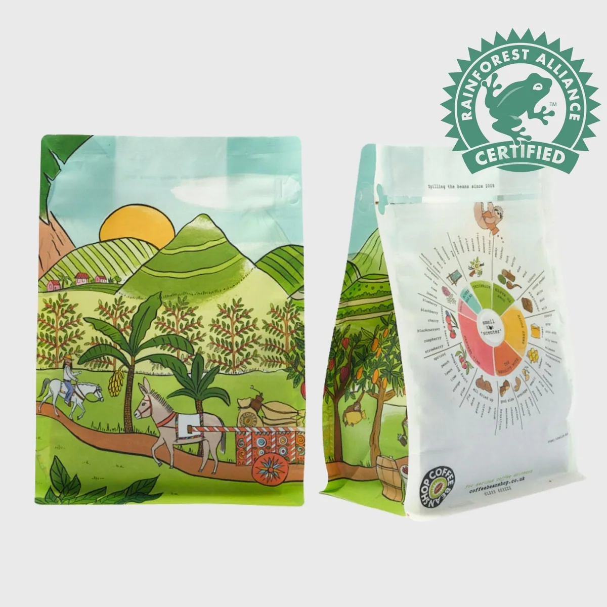 nicaragua blueberry & pineapple candy | 2 x 250g coffee by coffee bean shop