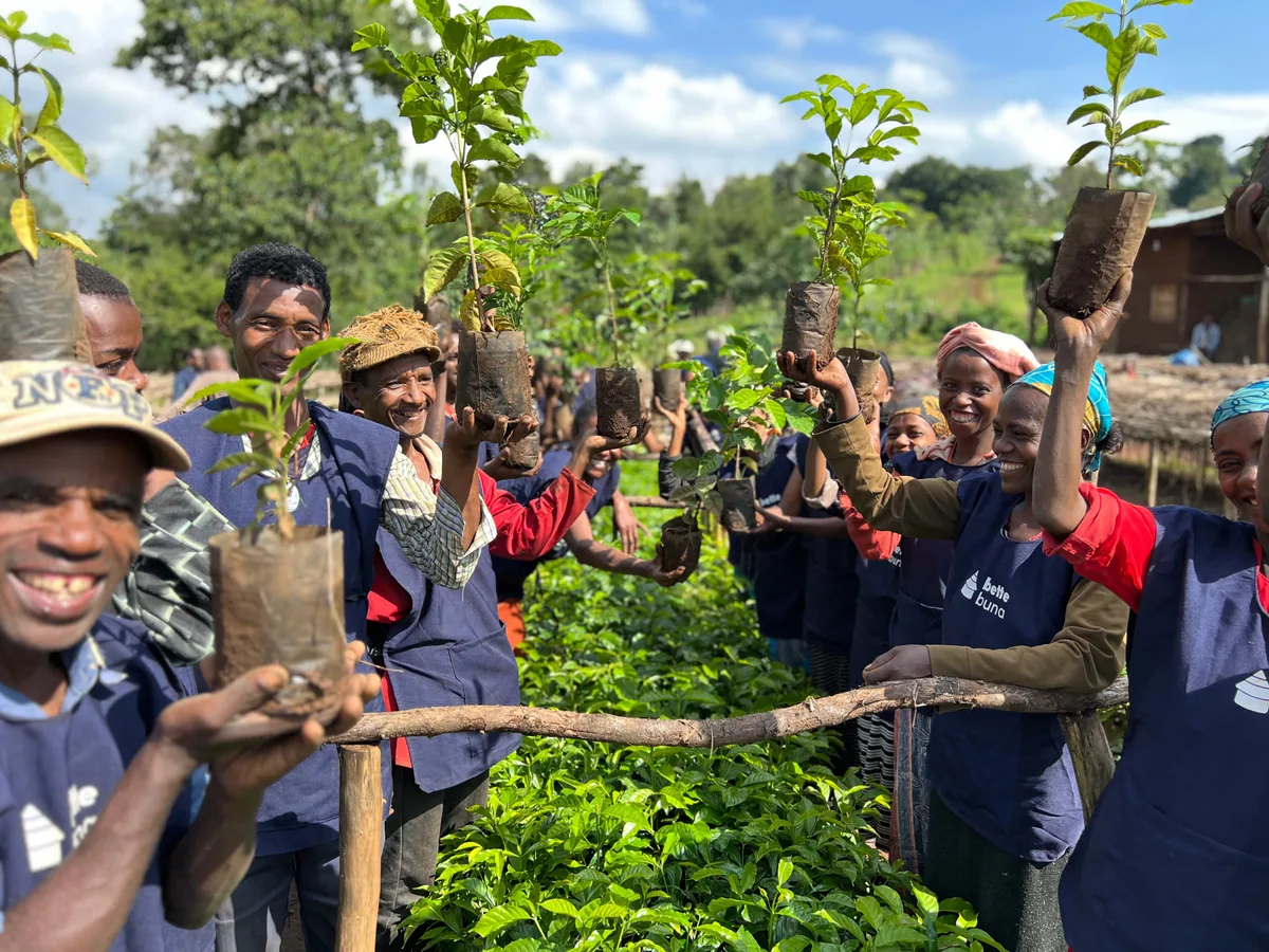 taferi kela - etiopia coffee by martín tostador (café de especialidad)