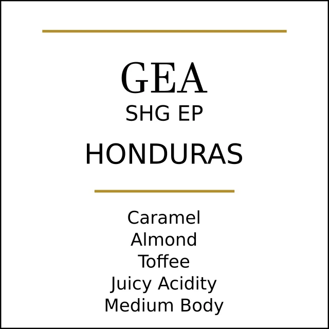 honduras gea medium roast coffee by pebble and pine coffee