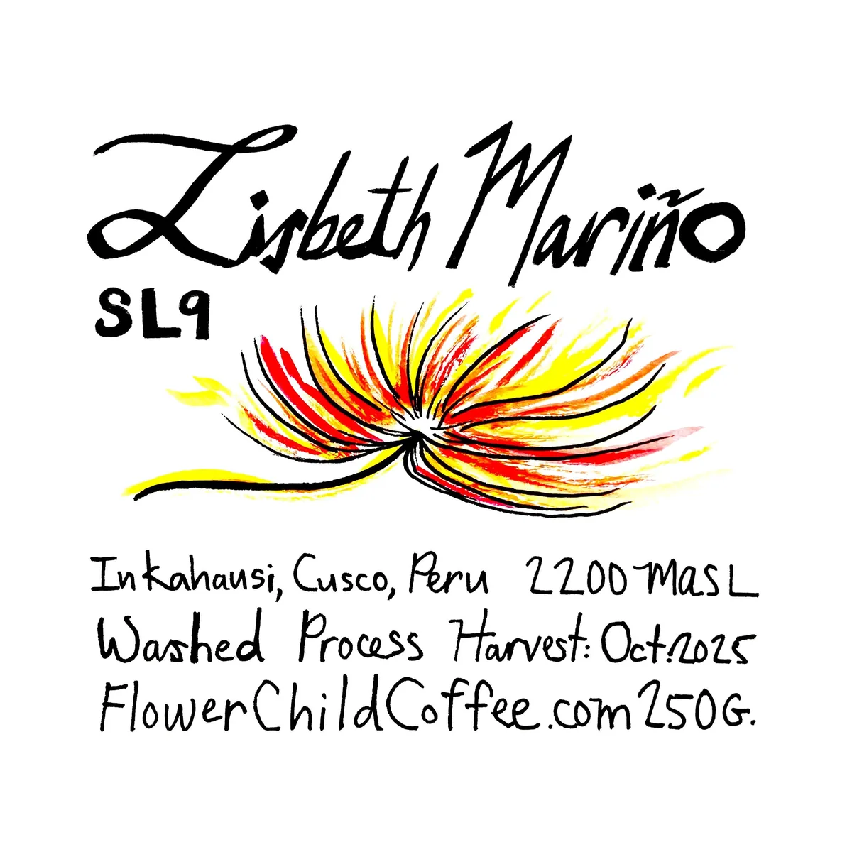 lisbeth mariño - sl9 coffee by flower child