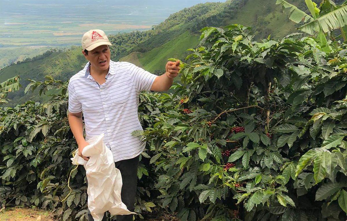 finca san pedro coffee by monmouth coffee company