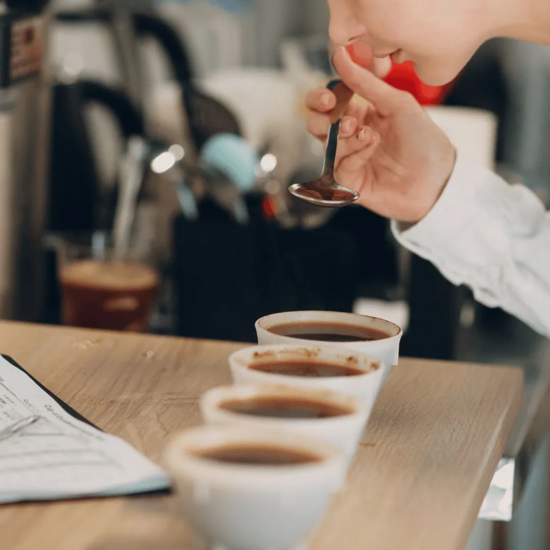 sensorial cata de café coffee by café guayacán