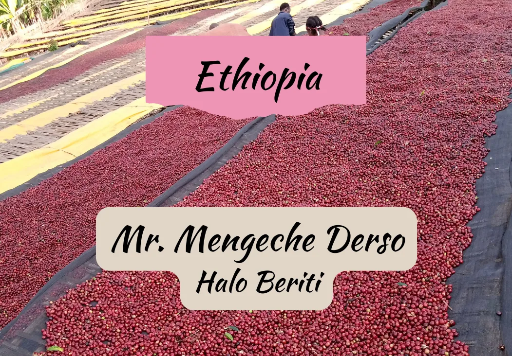 ethiopia mr. mengeche derso | halo beriti coffee by draft coffee roasters