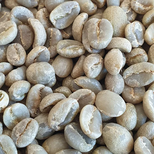 ethiopian yirgacheffe unroasted green coffee beans 1kg coffee by chiasso coffee roasters