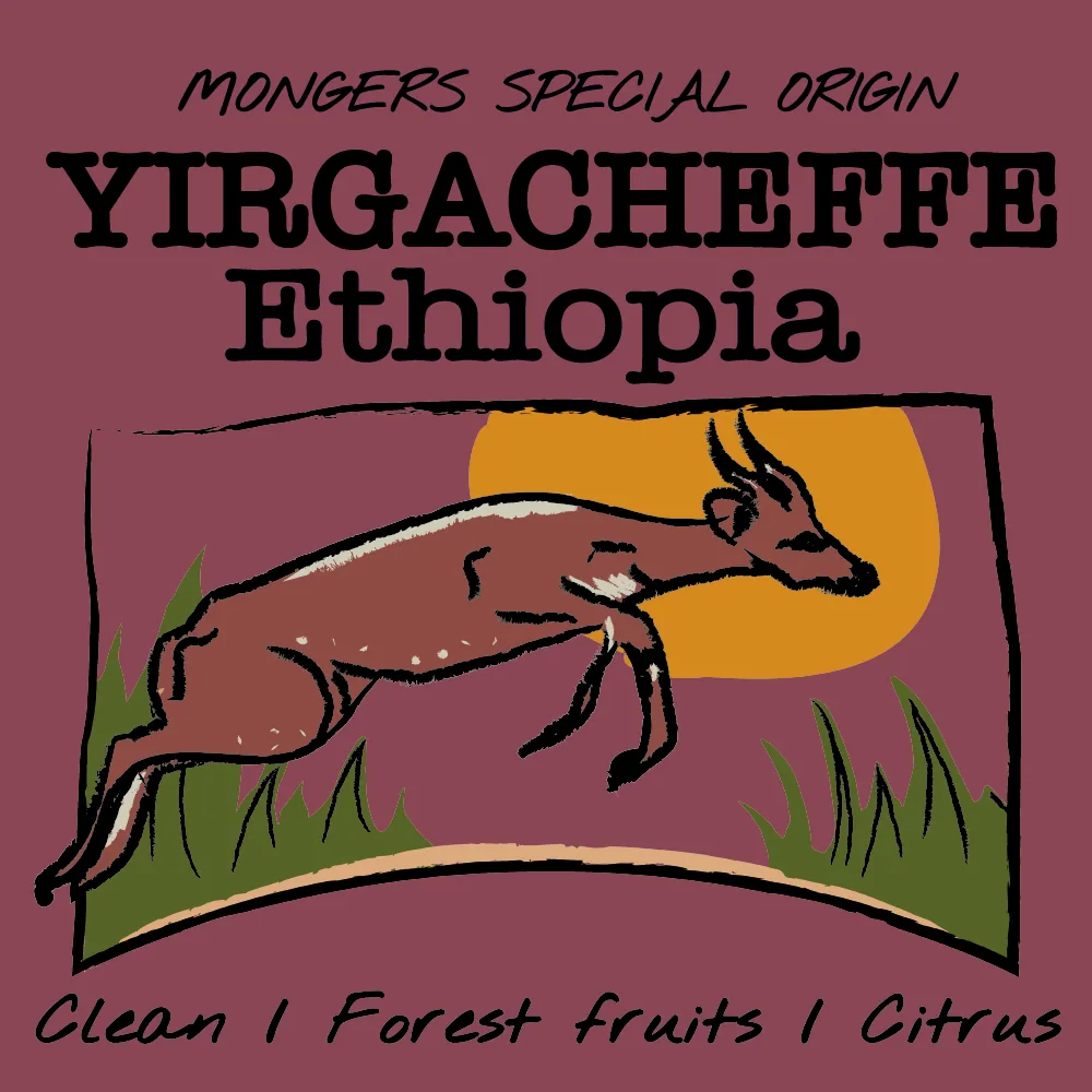 ethiopia - yirgacheffe coffee by coffee monger's roasting company